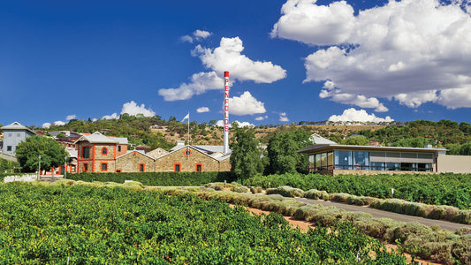 Top Australian Wines for US Collectors in 2024 Expert Picks & Winery Guide